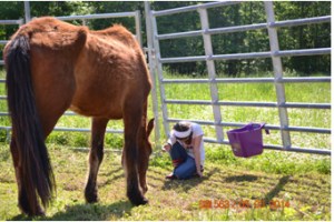 Buck getting used to a very patient Bella
