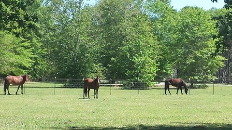 17862314_1332115773535785_2413211325318347645_n