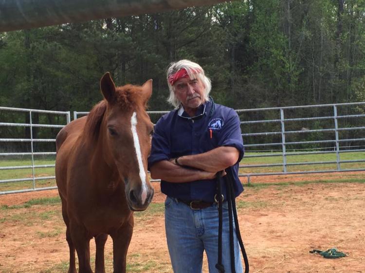 17904285_1334208973326465_6587881037587827134_n