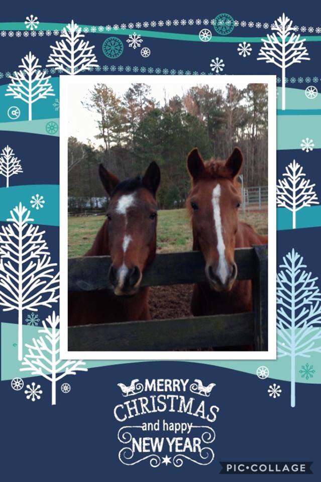 26055921_1583721501708543_6653870541258466228_n