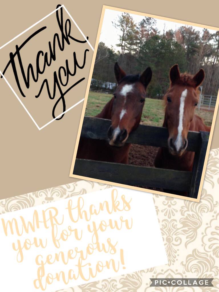 Thanks to all donors! – Mustang and Wild Horse Rescue of Georgia