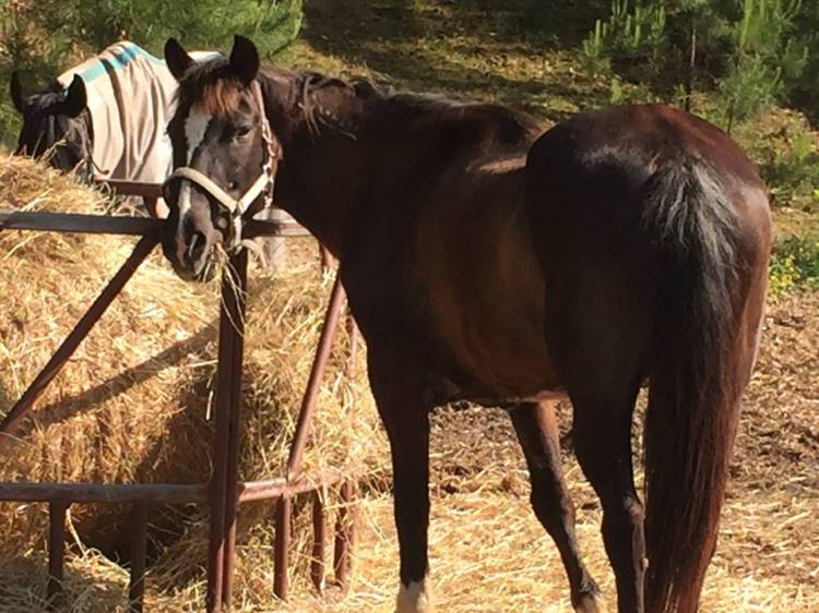 32266865_1718389064908452_1694261239884021760_n